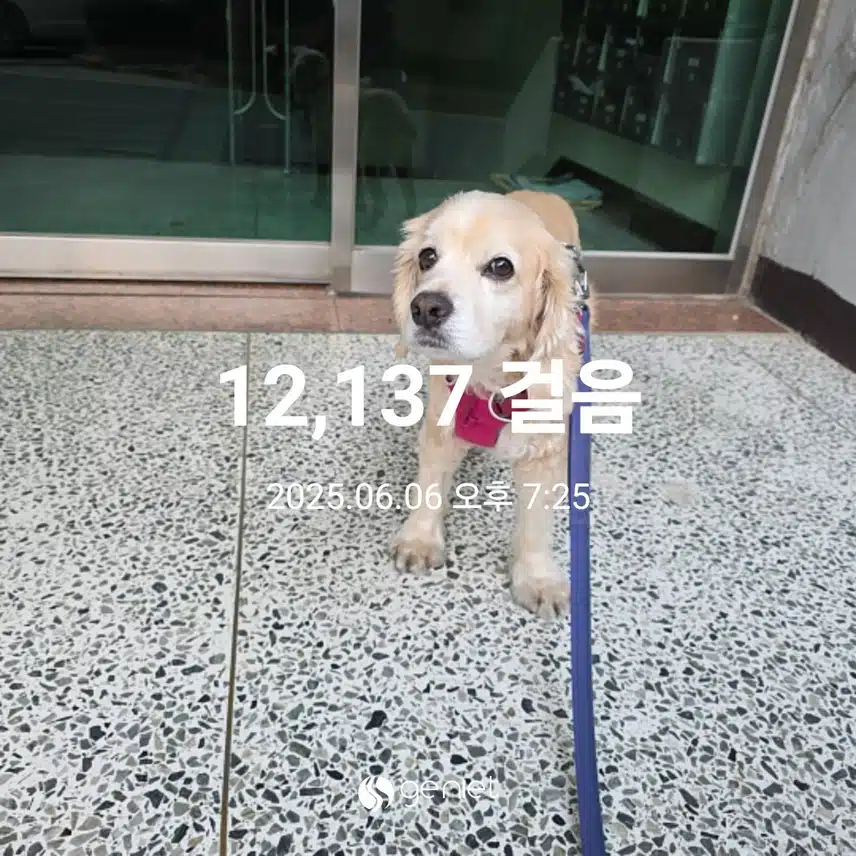 금요일 마무리 