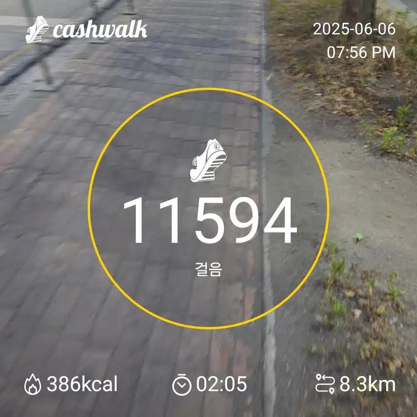 인증