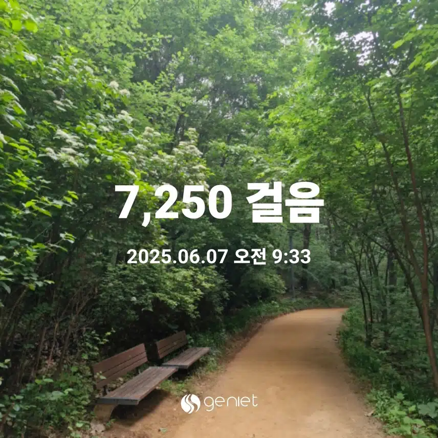 선선한 숲에서 산책..