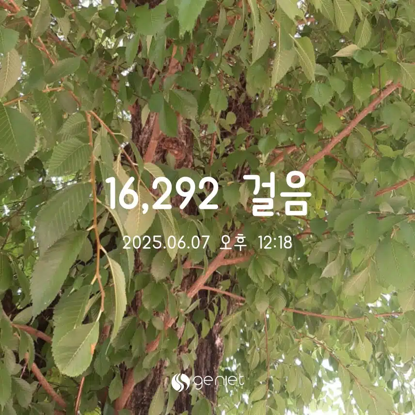 만보완료