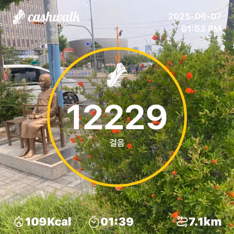 단지로 인증
