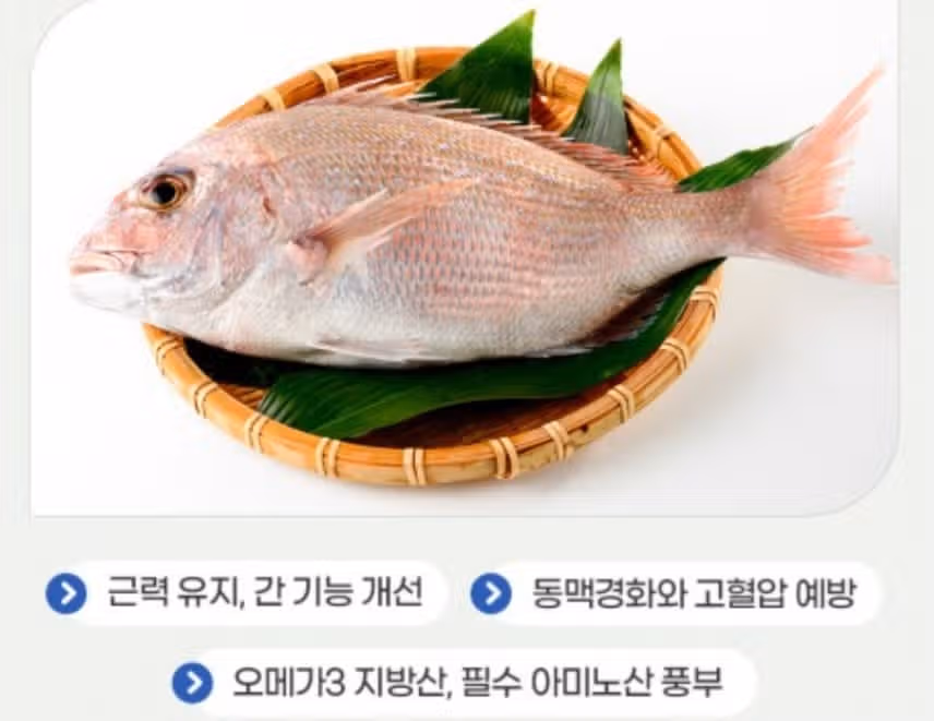 참돔 한 접시로 🐠