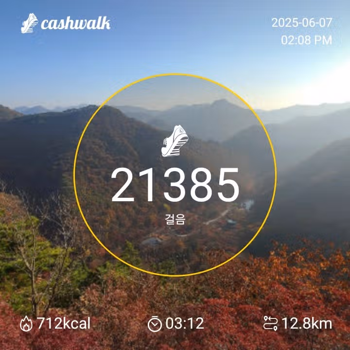 인증