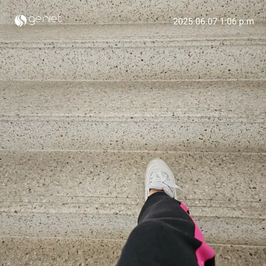 장미향이 그득한 힐링 산책길 🌹🌱🌹