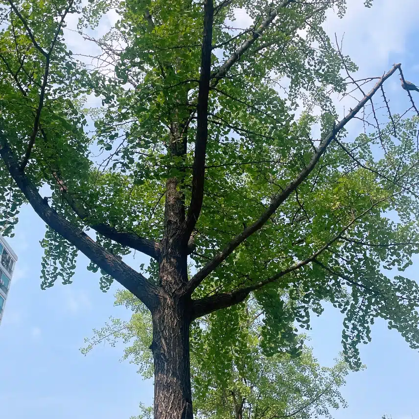날씨 굿