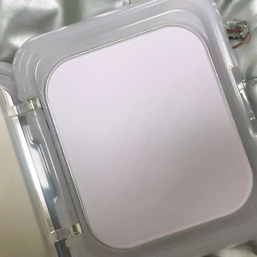 팩트