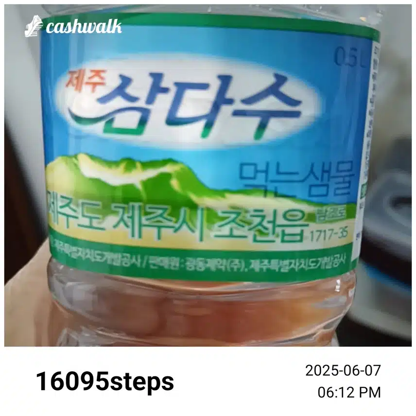 인증 