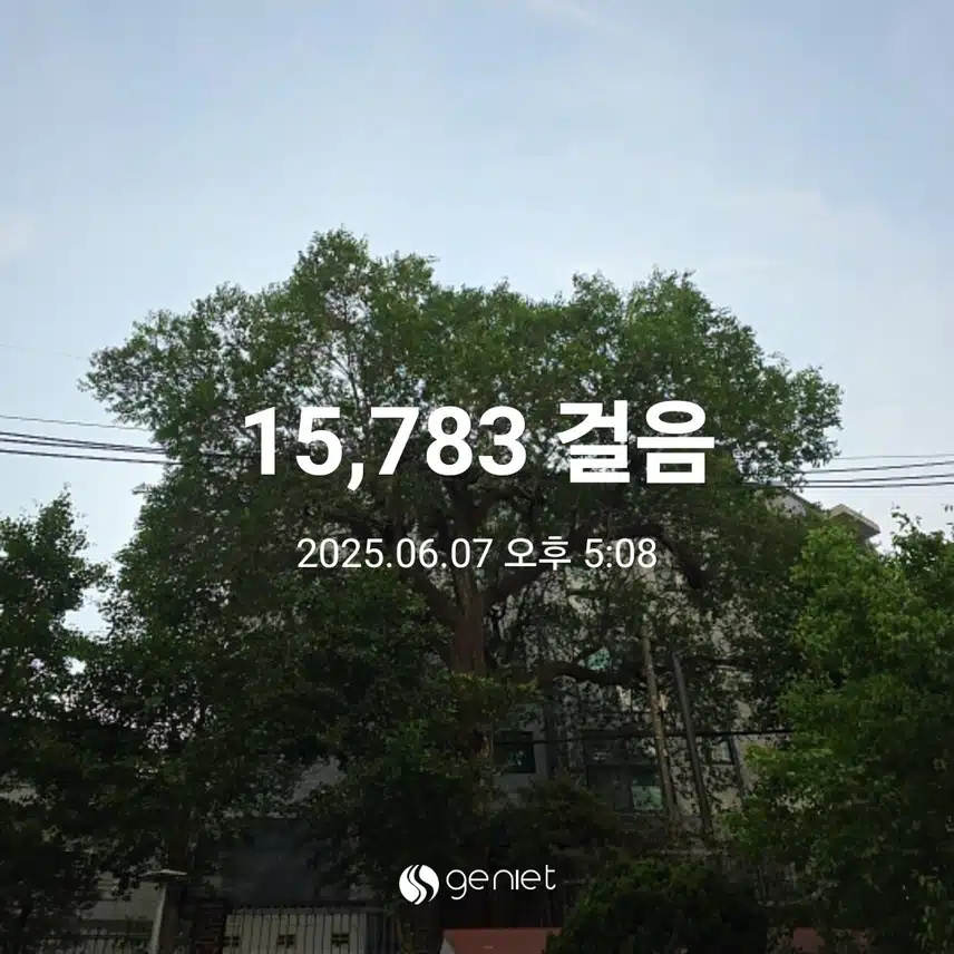 토요일 마무리 