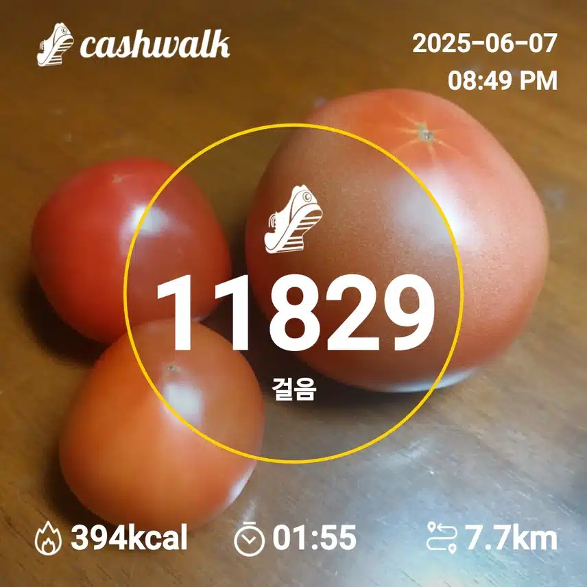 인증