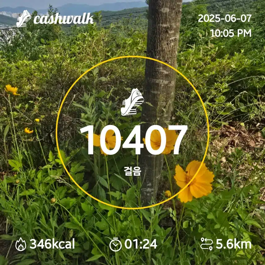인증