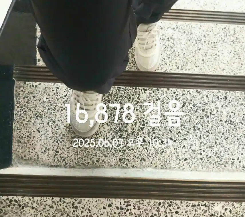 만보달성 