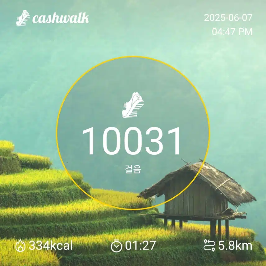 토요일 만보걷기