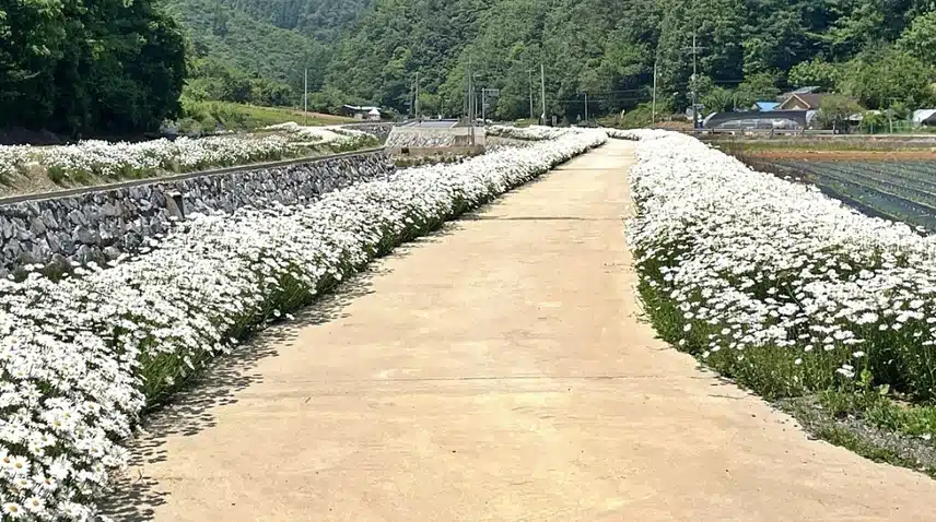주민 80명. 가꾼 비밀의 정원