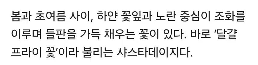 주민 80명. 가꾼 비밀의 정원