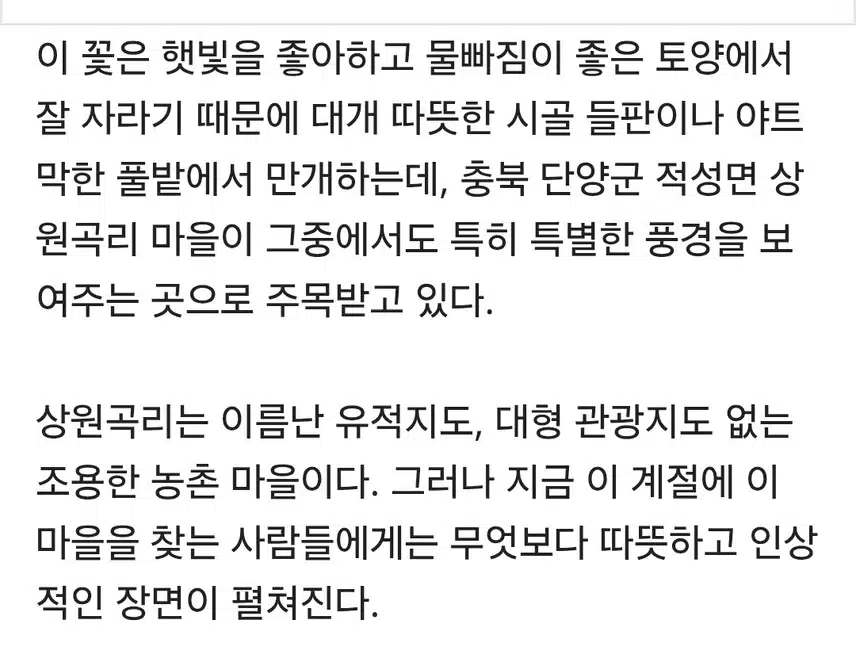 주민 80명. 가꾼 비밀의 정원
