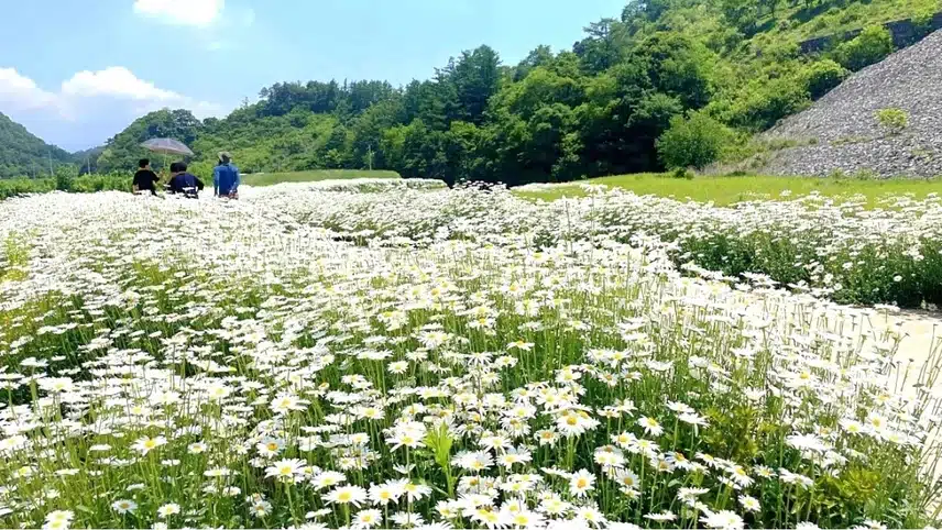 주민 80명. 가꾼 비밀의 정원