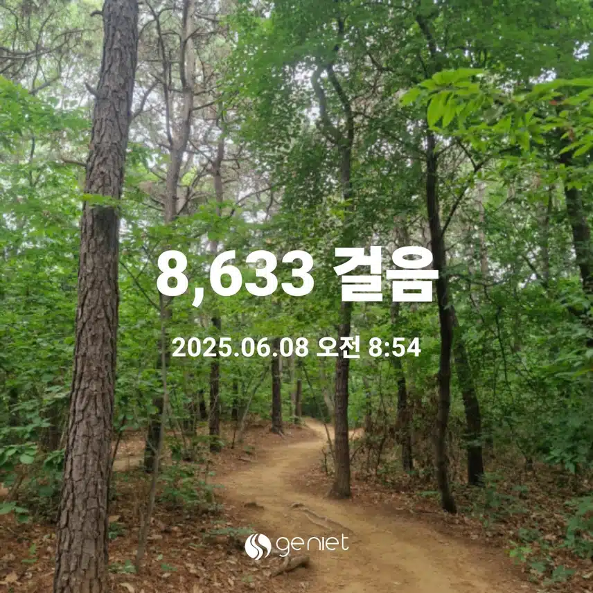 아침산책