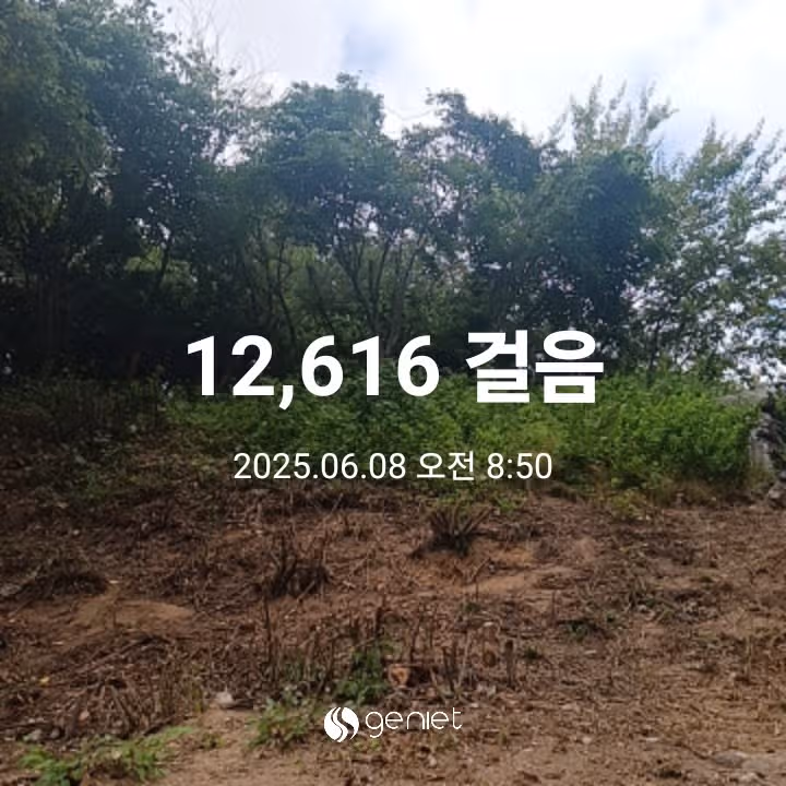 오전 운동 