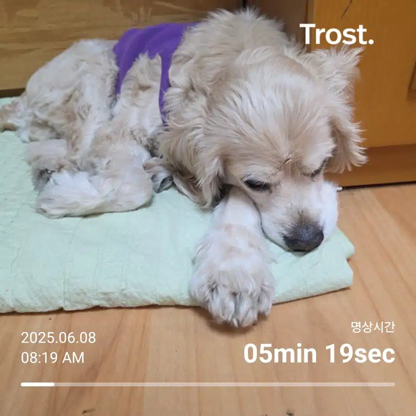 일요일 아침 