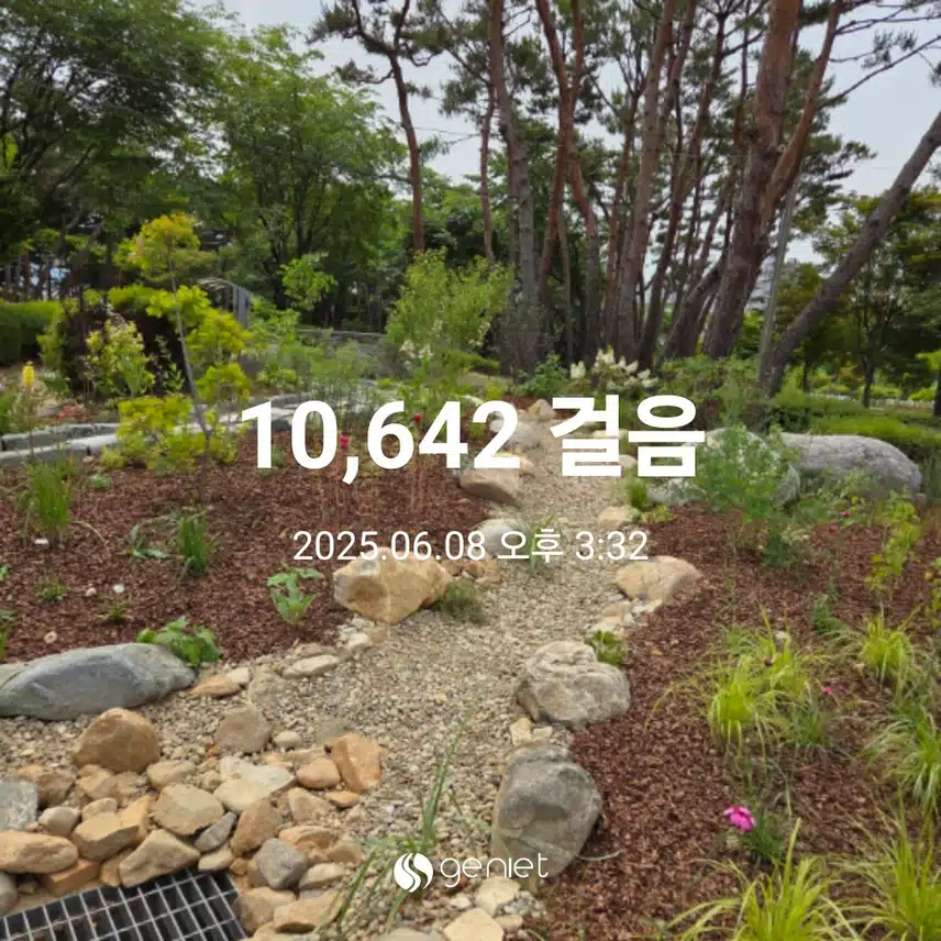 만보 걸었어요 