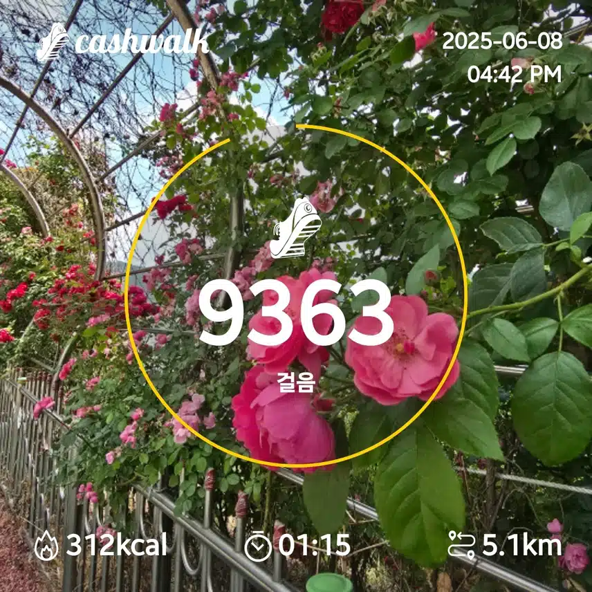 인증
