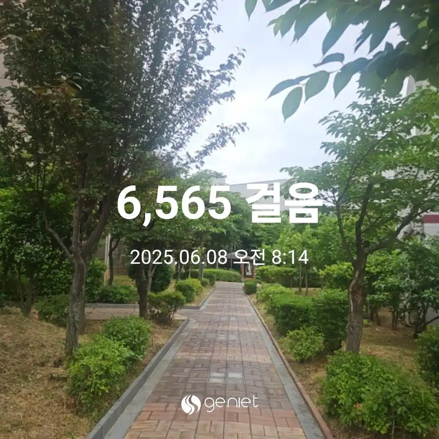 오전 산책으로 