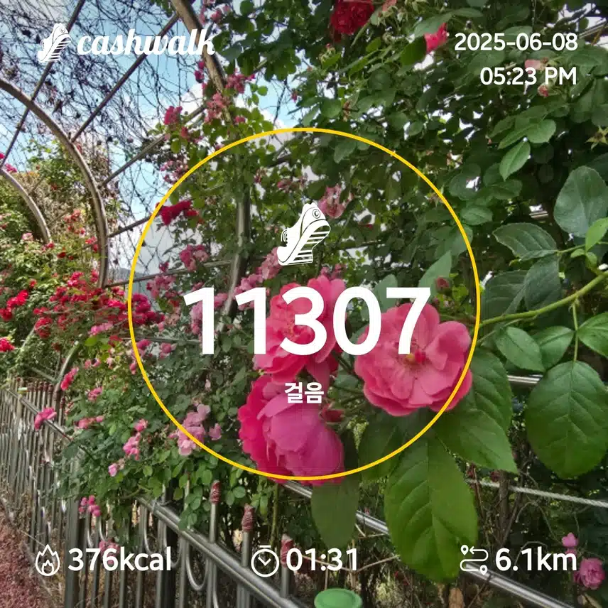 인증