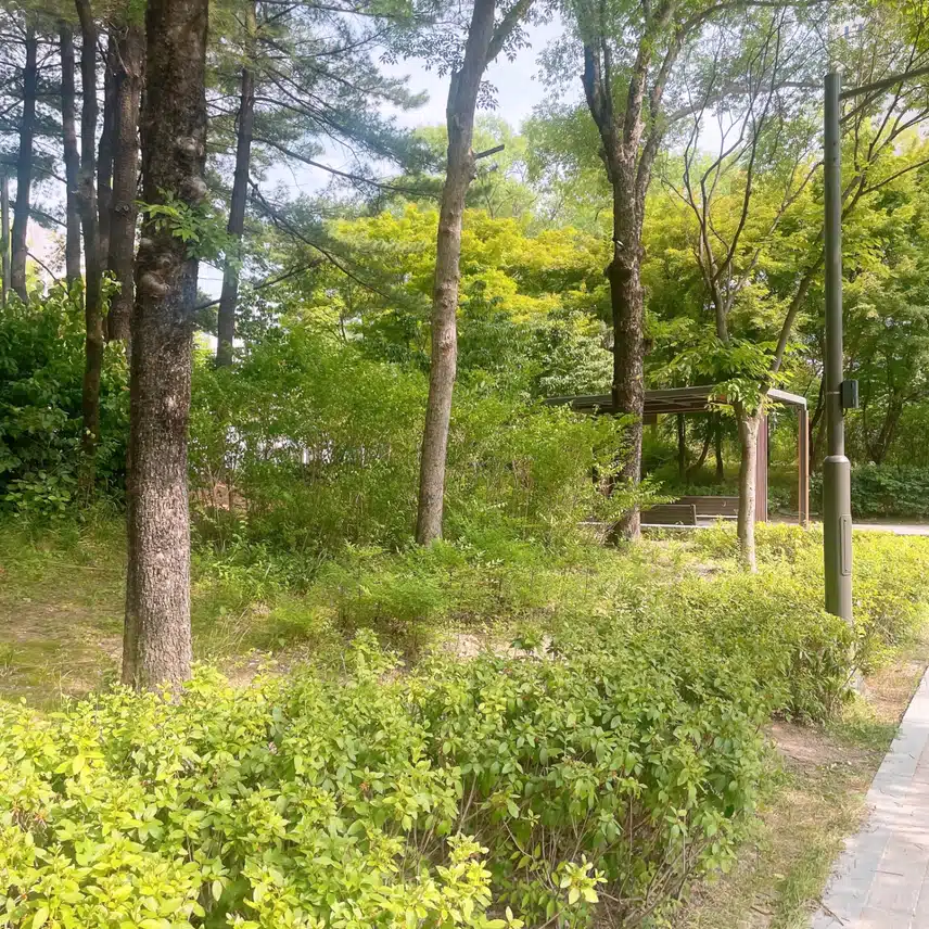 산책해요
