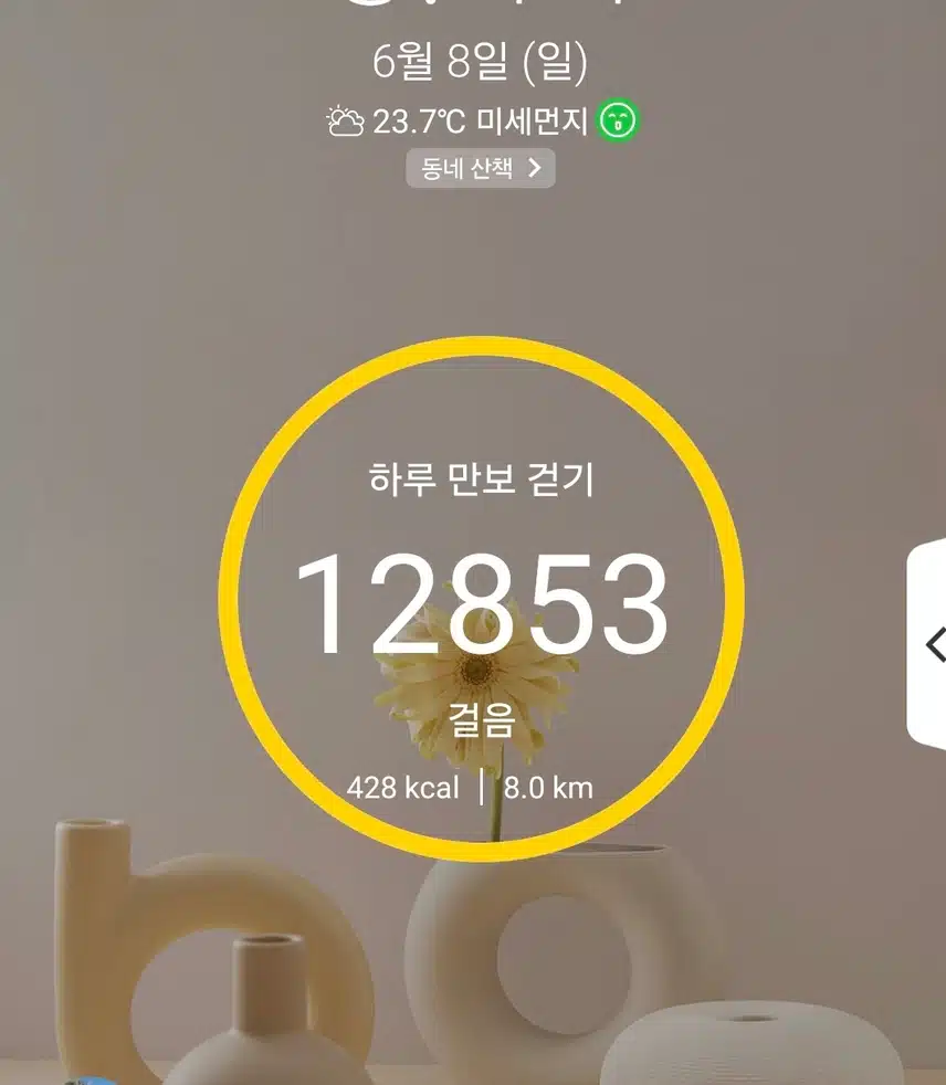 1만보 걷기 운동 마침
