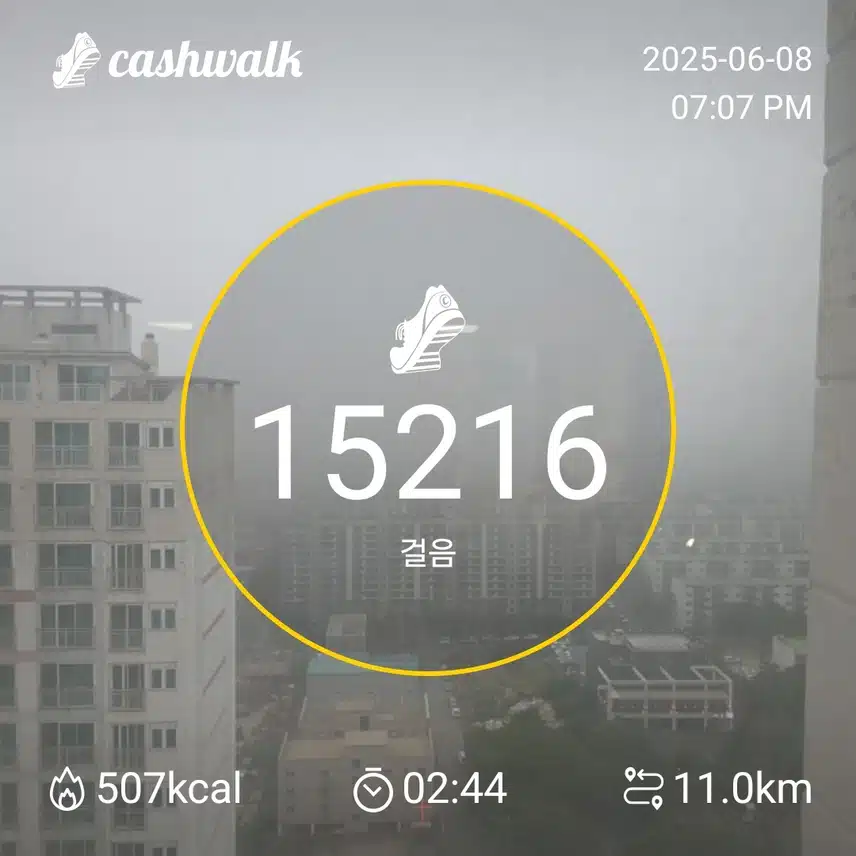 인증