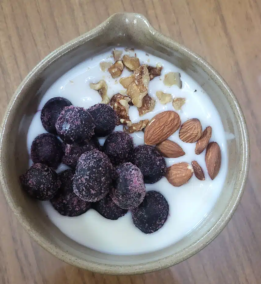 수제요거트에 견과류와 냉동 블루베리 🫐🥜
