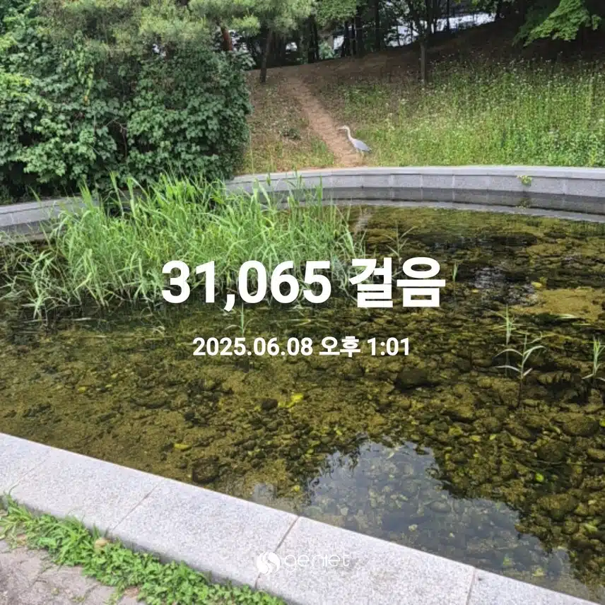 걷기 했지요