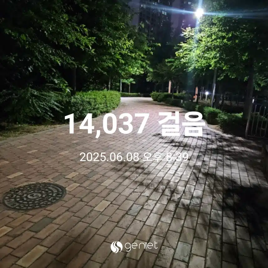 시원한 산책길 걸었네요.