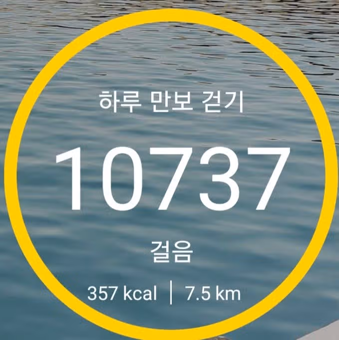 미션완료