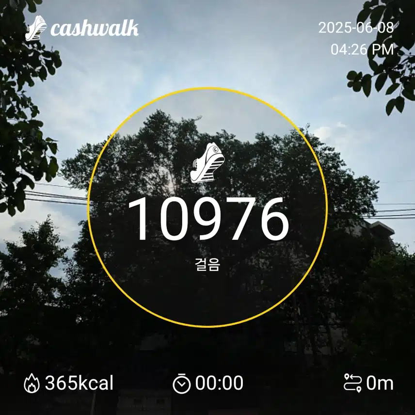 일요일 마무리 