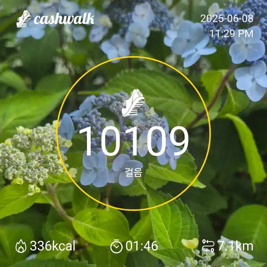 인증