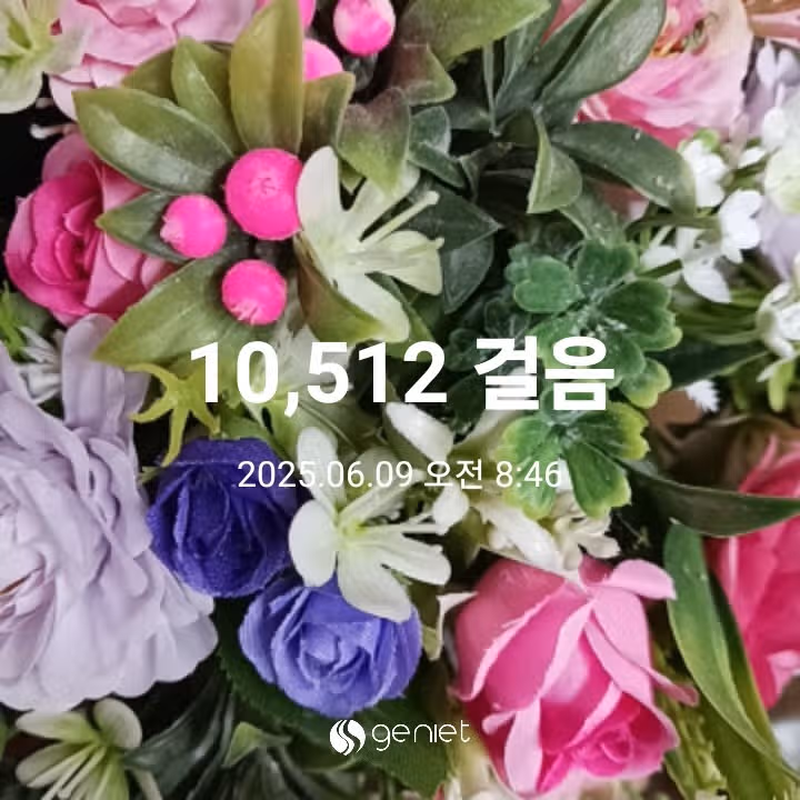 오전 운동 