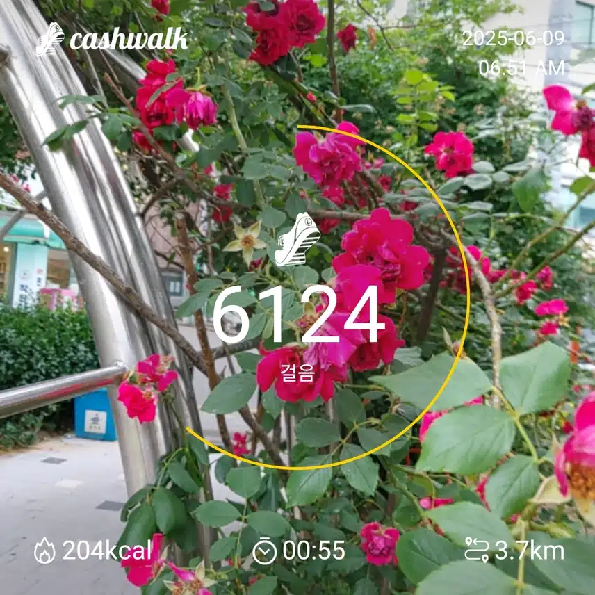 6000보 걷기