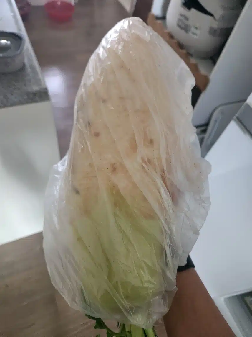 김치 담으려구요..