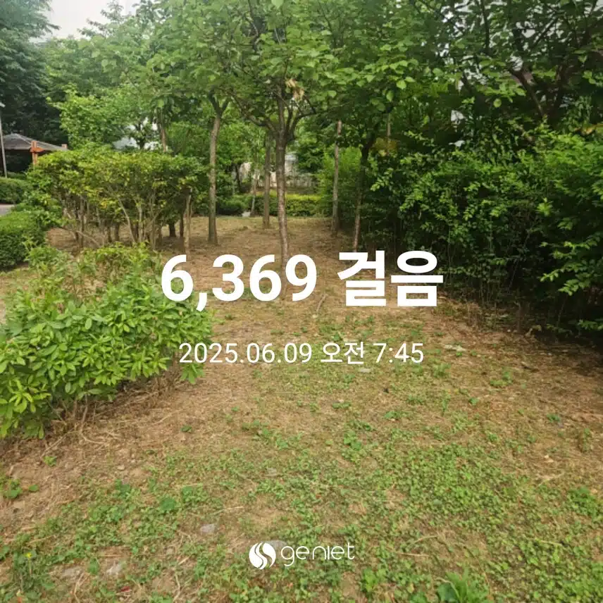 아침 산책길 