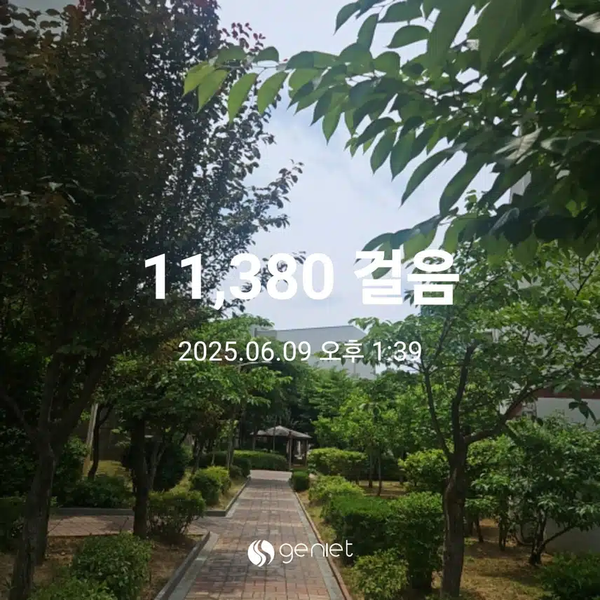 산책길 매실이 익어가네요.