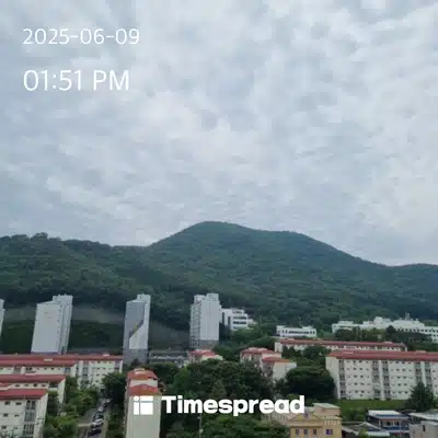 집 앞 작은 산에 자주 등산 가요 