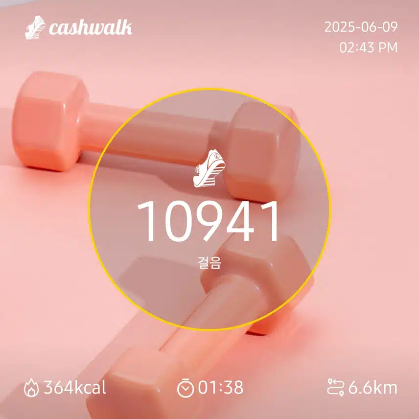 인증