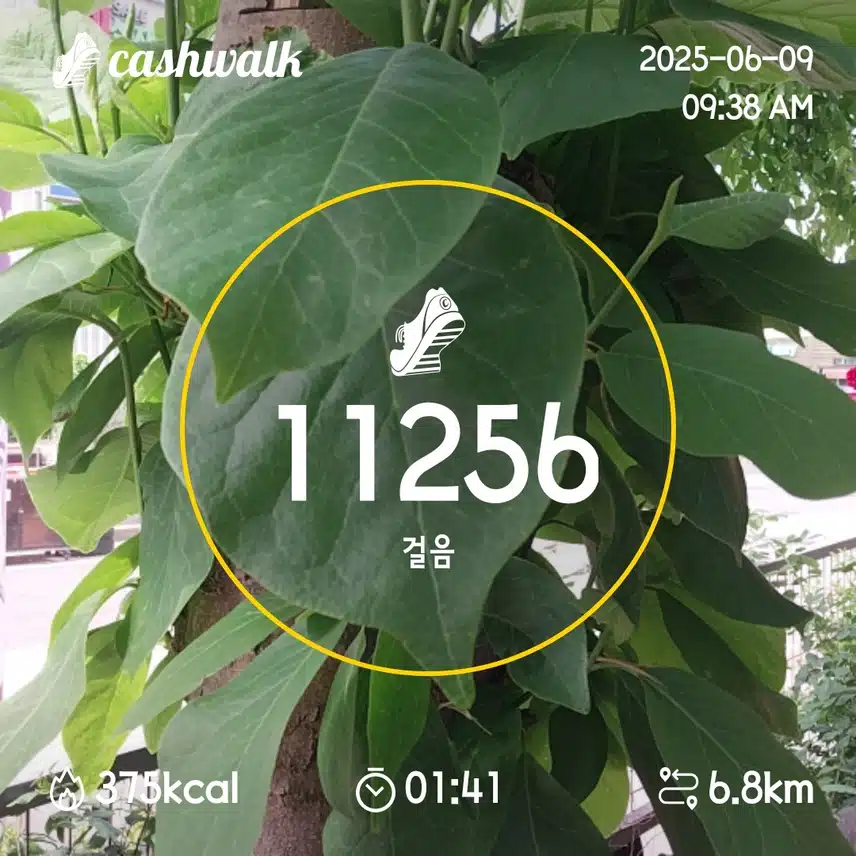14일차 