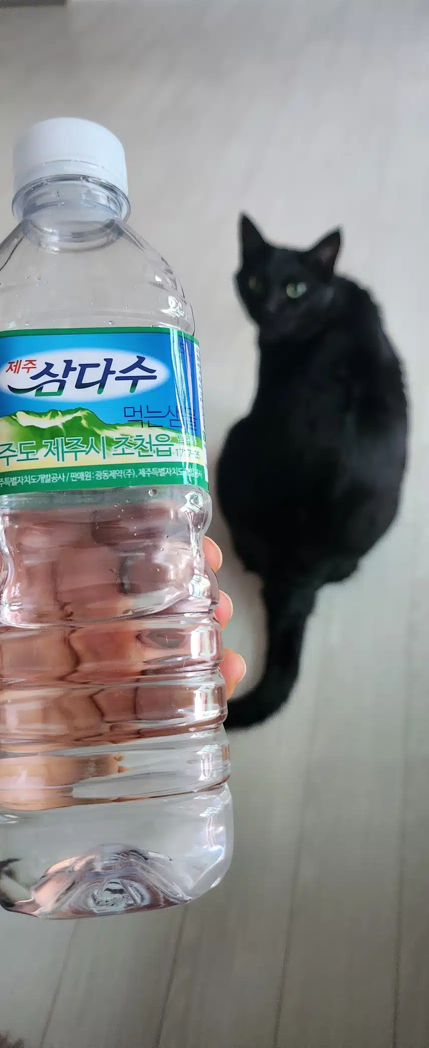 운동후