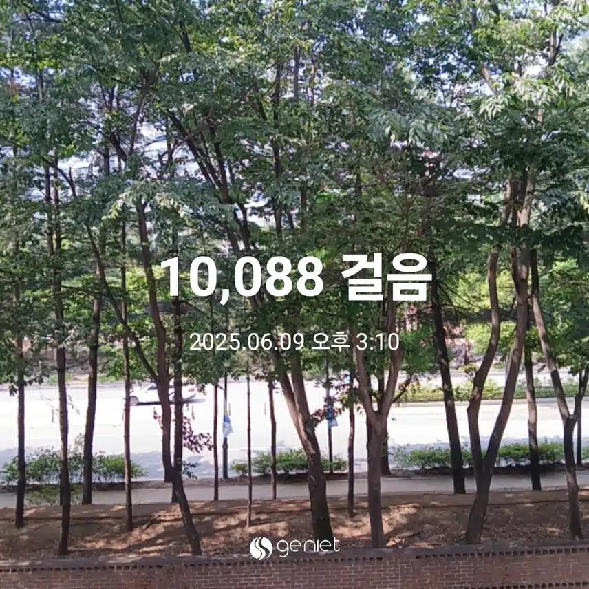 월요일 걷기운동^^