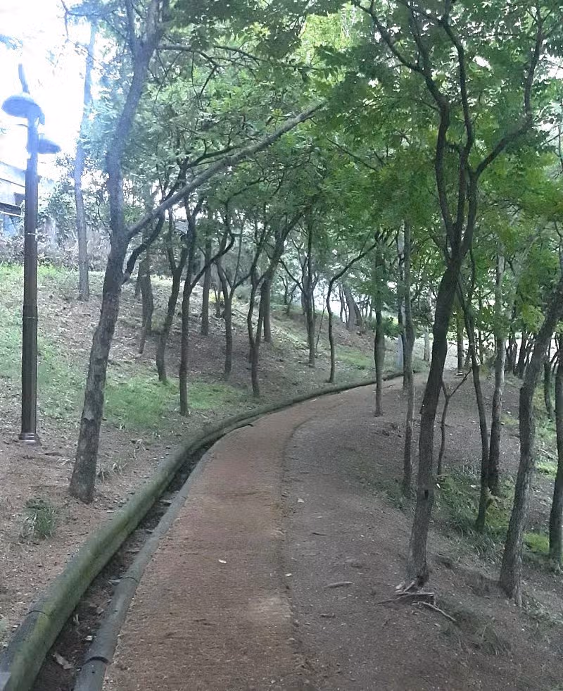 힐링 산책길