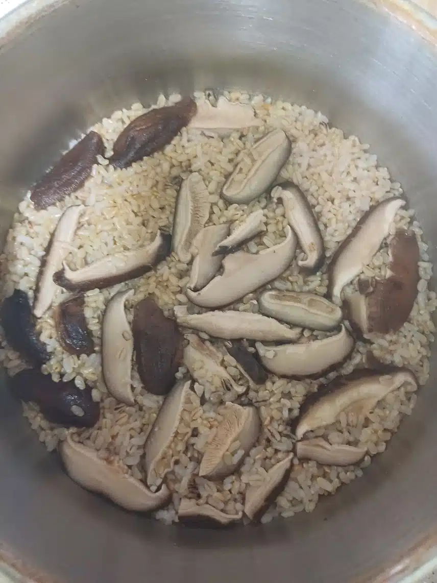 밥냄새가 좋아요 