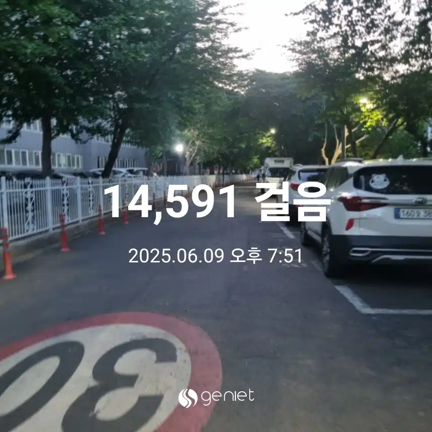 저녁산책 했어요