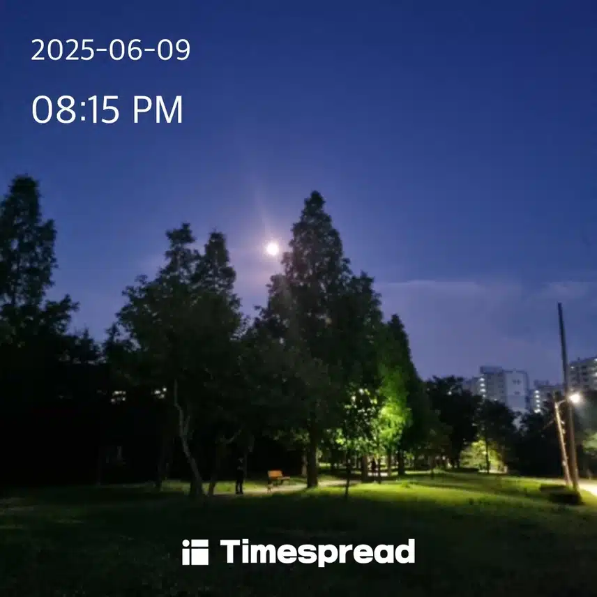 저녁산책 했어요